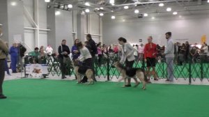 Сравнение-расстановка рабочего класса