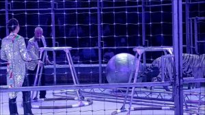 ЦИРК ЖЕРАФ ШОУ