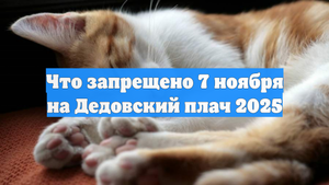 Что запрещено 7 ноября на Дедовский плач 2025