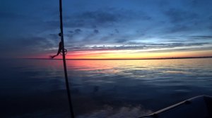 лютый жор судака🎣 на одной проводке 3 поклевки нашел на 2 метрах вот это выход такое впервые #судак