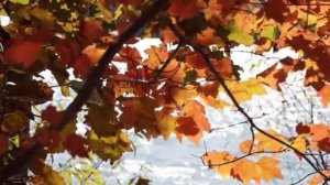 7 ноября - Вихрь перемен. Праздник сердца и судьбы.