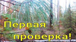 Отпустило снег сошёл первая проверка путика с КА-2У предсказуемо белки кедровки соболя не подходил