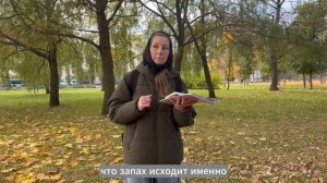 Удушающие запахи в Кировском районе