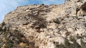 Приглашаю прокатиться по горным дорогам! ♥️