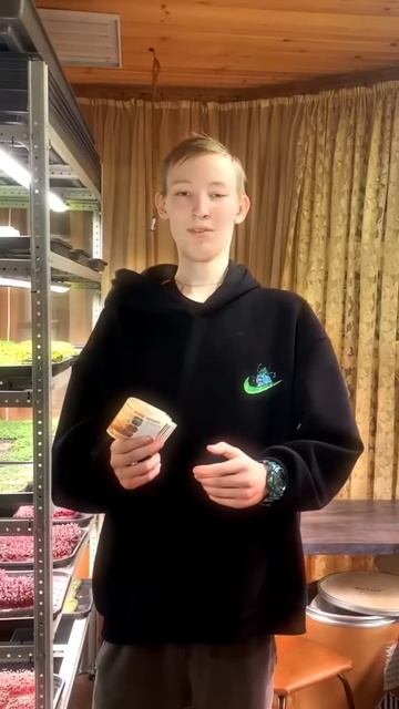 Эстетика бизнеса на микрозелени смотреть онлайн