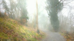 Футаж. Осенний пейзаж 34