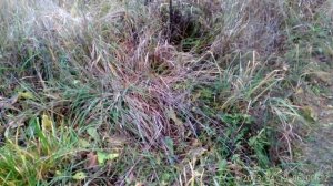 Маленькие нюансы большой зимовки.