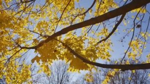 Духовный прогноз на 6 ноября. Важное послание.