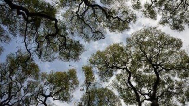 РИТУАЛЫ МЕНЯЮТ ЖИЗНЬ... люди говорят