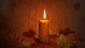 вечерняя прогулка