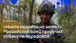 "Никто подойти не может". Российский боец приручил собаку на передовой