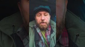 Кто ответит за провокации и подмену русской истории в День народного единства? #россия #важное