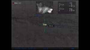 На приваде и не только)