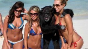 ✅ Приколы 2025: свежая подборка угарных видео, мемов и фейлов, которые порвут интернет! 🎈🔥