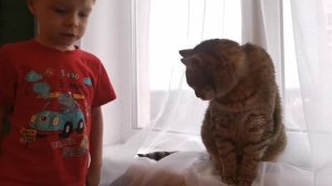 Ребёнок воспитывает кота и учит технике безопасности в высотке