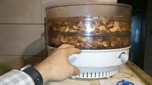 за какое время высохнет 3 ведра спелых яблок и сколько будет сухого продукта, весь процесс подробно