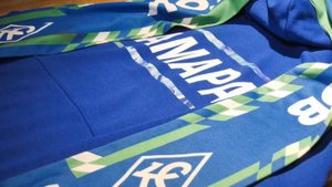 Матч "Крылья Советов" — "Динамо": трансляция для болельщиков Самары