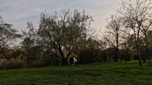 6.11.Прогулка по незнакомой и знакомой Анапе.