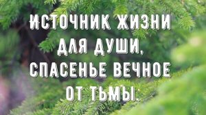 Счастье жизнь свою отдать Христу - минус мой 1