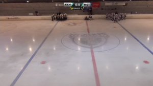 2014: Первенство СФО по хоккею среди юношей (день 4)