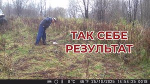 Ставил Фотоловушку но так себе результат