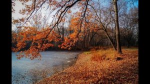 В плену осени