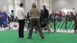 Стивит Армаст Отважная Китнэсс