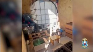 Подпольное производство водки и коньяка под видом известных брендов выявили ростовские оперативники