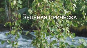 Георгий Шлифер "Зелёная причёска"