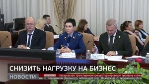 Нагрузка на бизнес: сократить необоснованные проверки. Новости. 06/11/2025. GuberniaTV