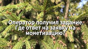 Задание оператору. Где ответ на заявку на монетизацию?