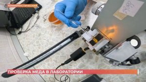 Мед в Ростове проверяют на наличие воды и крахмала