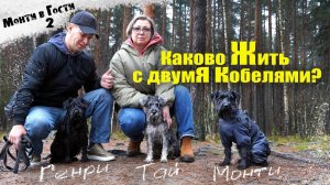 Жизнь с двумя Кобелями. Ссоры, склоки и очень много любви