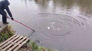 Под дубами.Резина