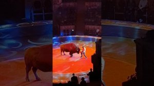 02.11.2025 - Итальянский цирк на Фонтанке.