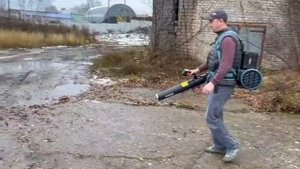 Воздуходувка SENIX