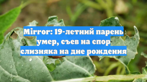 Mirror: 19-летний парень умер, съев на спор слизняка на дне рождения