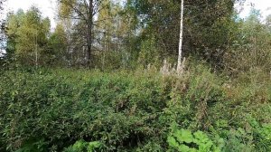 Копаю по полям, ругаюсь, переезжаю с места на место!