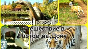 Путешествие в Ростов-на-Дону (часть1)