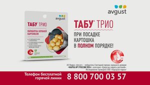 Табу® ТРИО от болезней, колорадского жука, проволочника и погодных стрессов