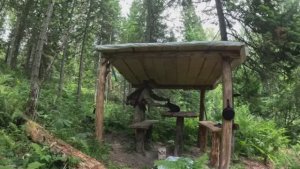 ТЯЖЁЛАЯ ТИХАЯ ОХОТА. ПОПАЛ В ГРОЗУ И ВЕТРОВАЛ. ИЗБА УКРЫЛА ОТ СИЛЬНОГО ДОЖДЯ.