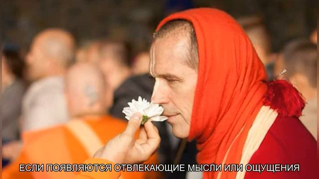 Войти в пространство отношений. Медитации по книге Живое Имя от Е.С.Шачинандана Свами