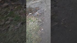 Мини влог. Мой день после школы. Четверг 06.11.25