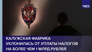 Калужская фабрика уклонилась от уплаты налогов на более чем 1 млрд рублей
