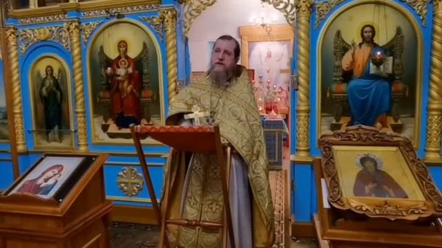 Иконы Божией Матери «Всех скорбящих Радость». 06.11.2025 смотреть онлайн