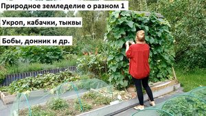 Природное земледелие о разном №1.