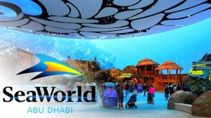 SeaWorld Abu Dhabi | ОГРОМНЫЙ аквариум в Абу Даби | Цены, трансфер | 2 парка за 1 день часть 1| 4K