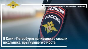 В Санкт-Петербурге полицейские спасли школьника, прыгнувшего с моста