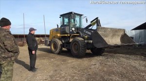 Выносливость, неприхотливость, продуктивность - в Арсях выращивают герефордов.