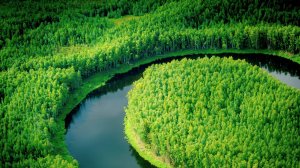 Стартовала онлайн-викторина «Историческое наследие Югры»